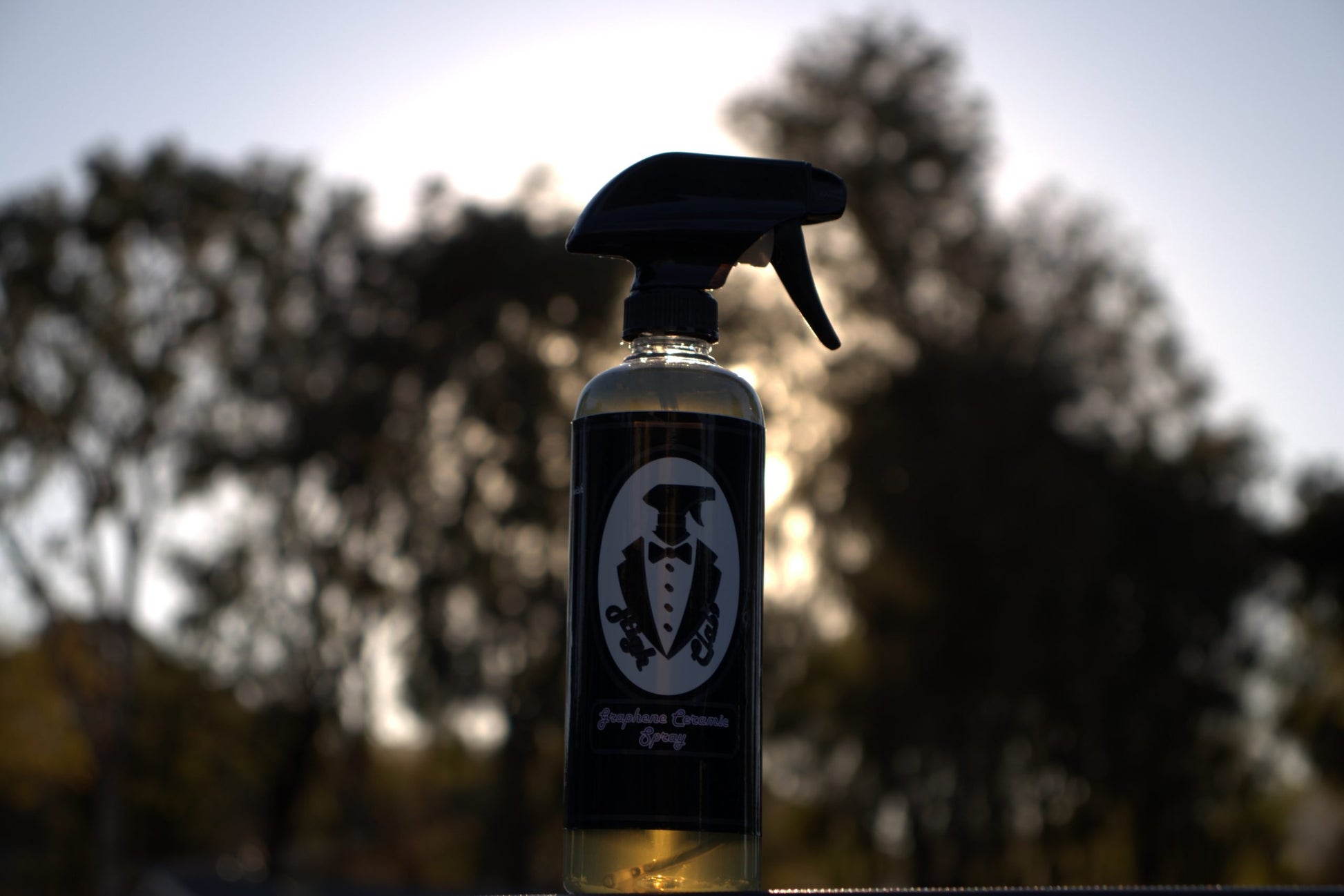 Graphene Ceramic Spray image 1